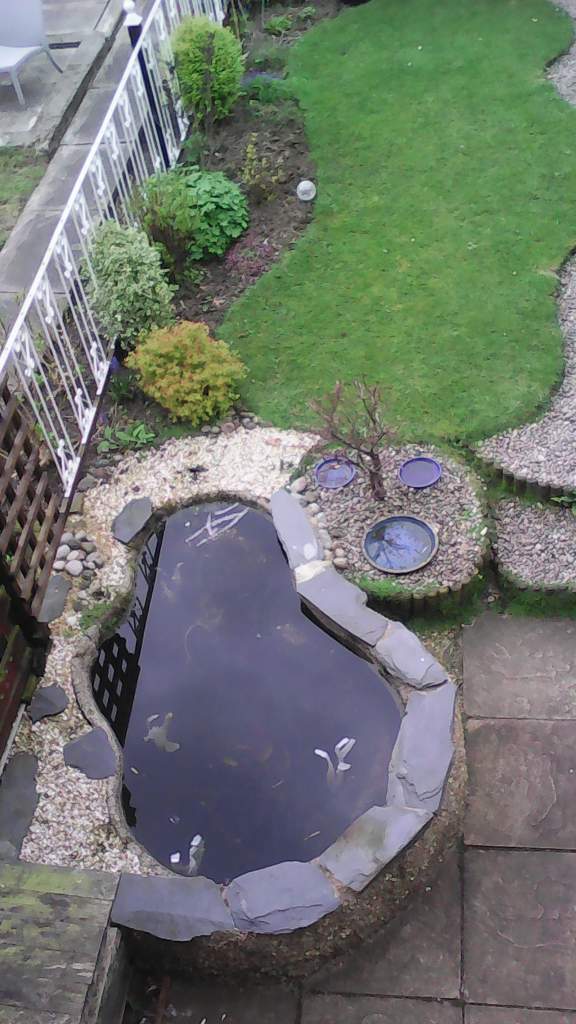 750 litre pond