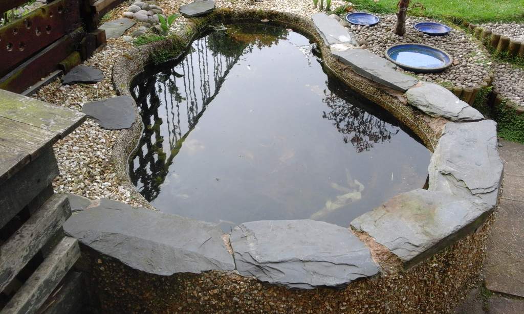 750 litres pond in garden.