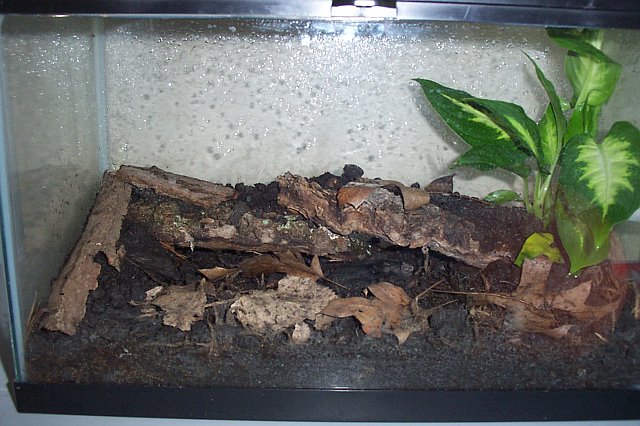 a. opacum tank