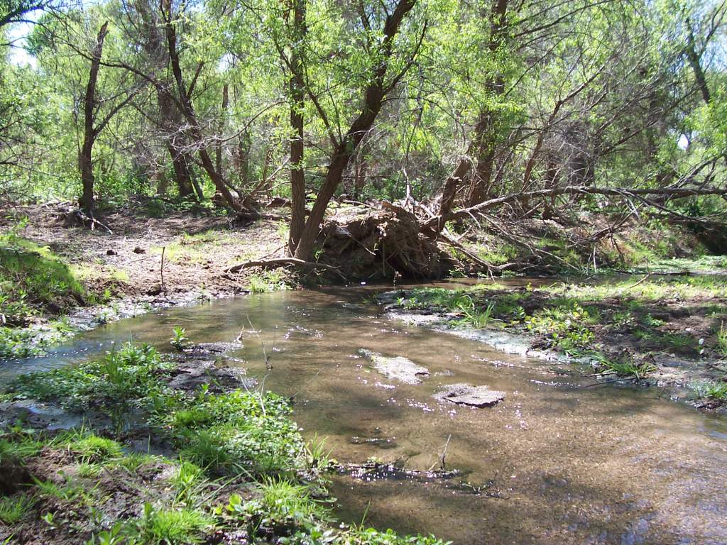 a pretty area of the stream