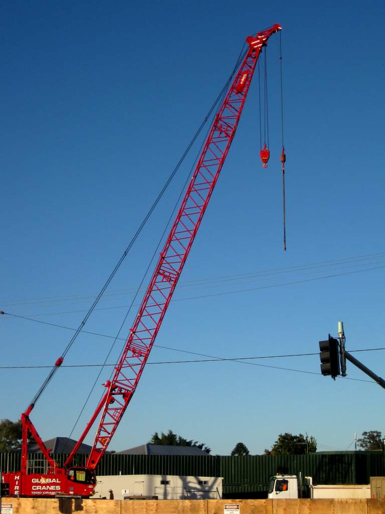 afternoon light - crane