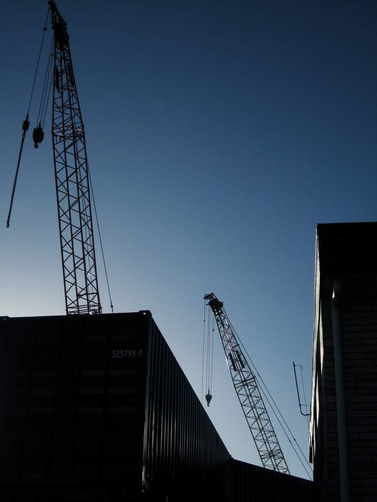 afternoon light - silhouette of crane