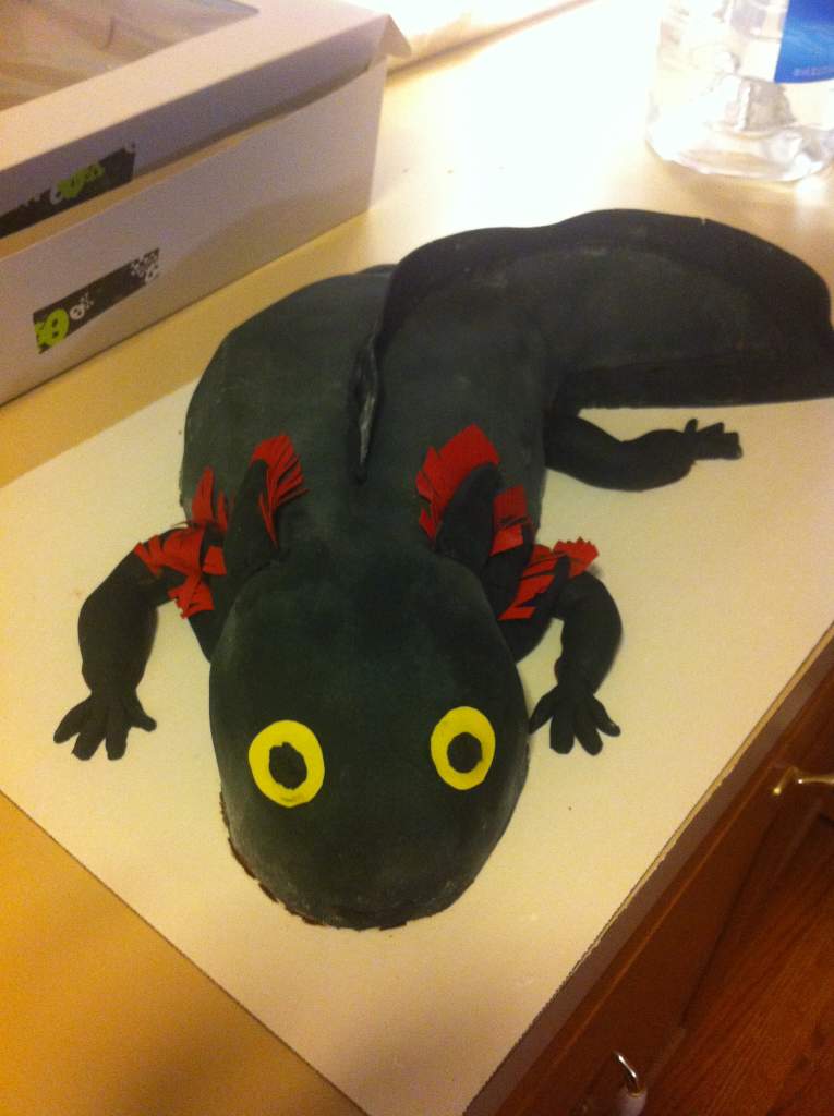 Axolotl Cake made for me by my amazing friend Christine!