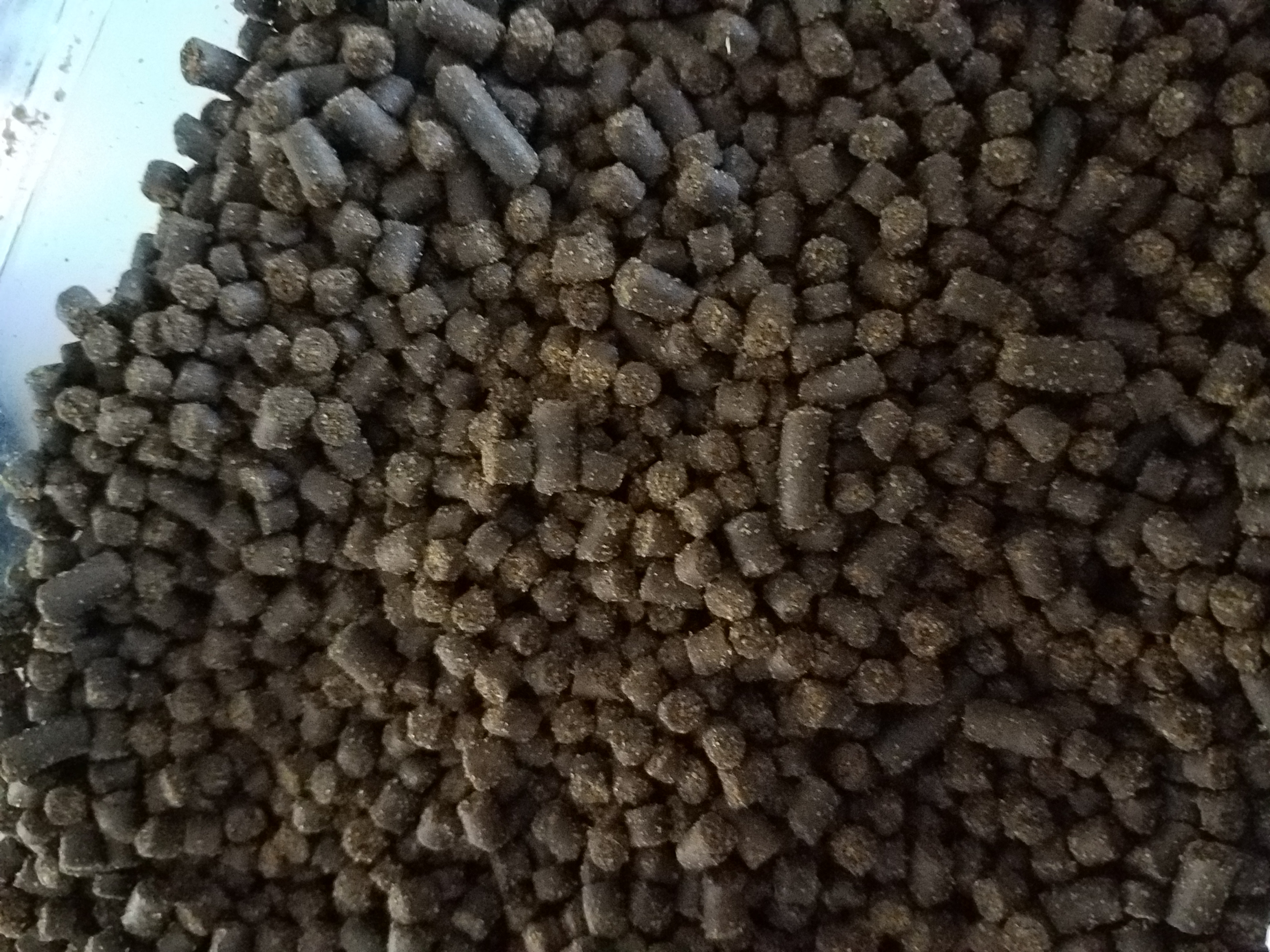 Axolotl pellets (rangen sinking salmon pellets)  forsale