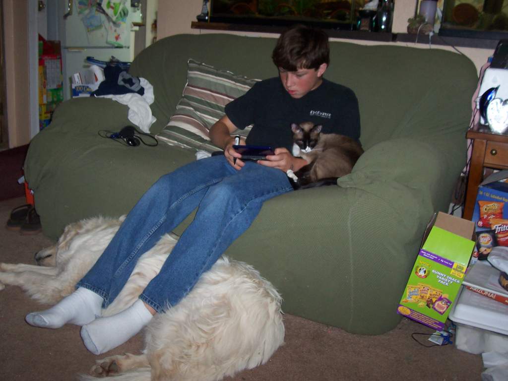 Bren w/psycho nermal, nintendo ds and lola under his legs