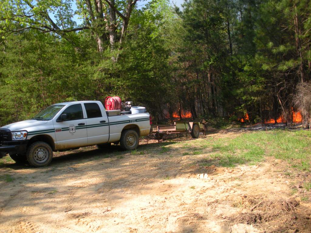 Burnin' down the house... forest. 

Controlled burn.