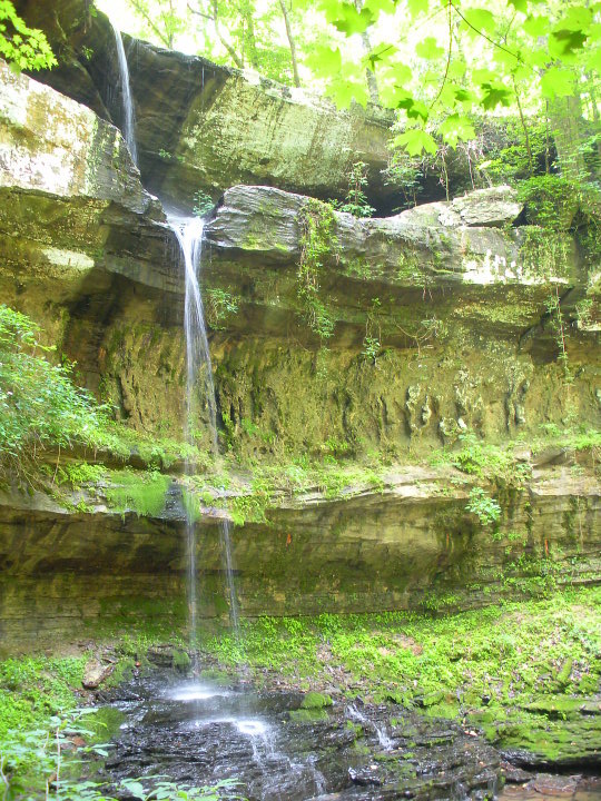 Cane Creek nature preserve