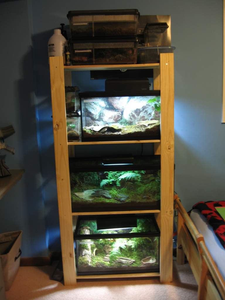 display salamander rack