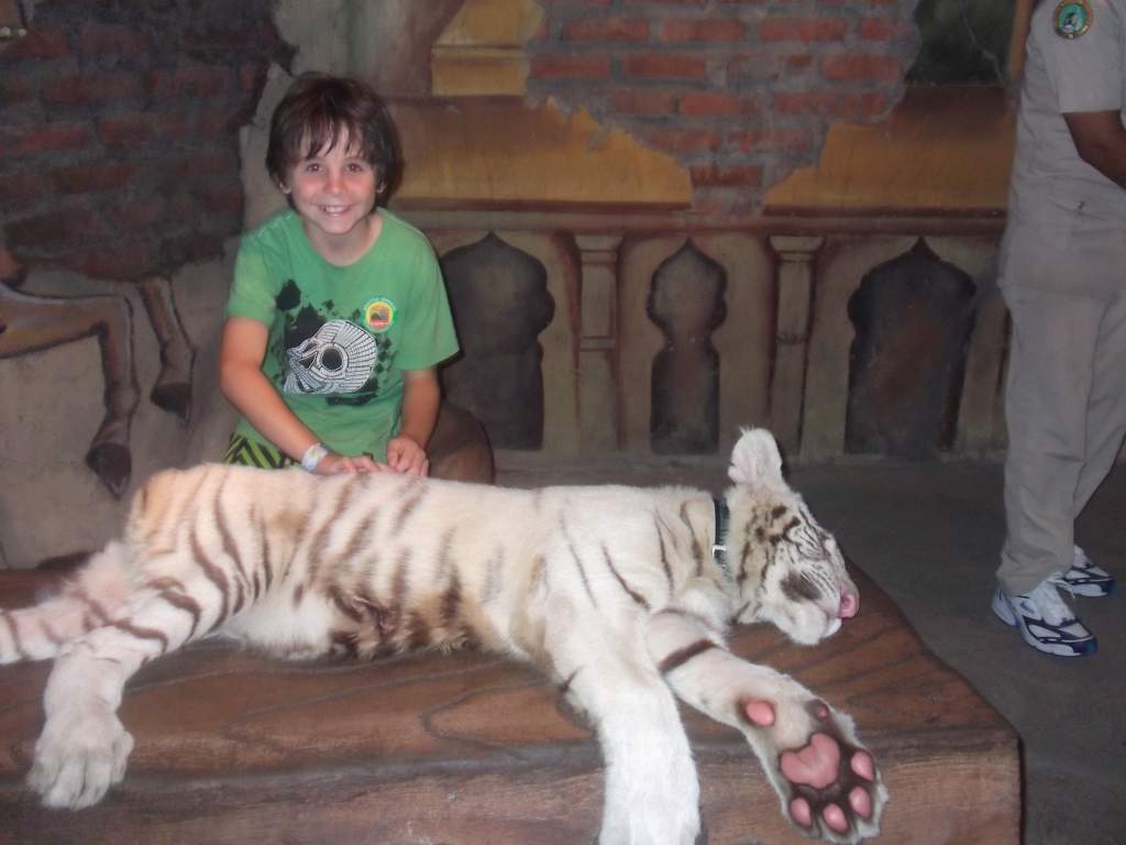 dylan with the white tiger cub