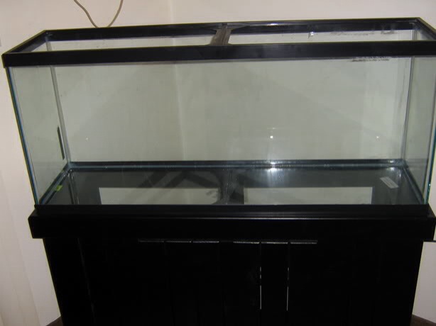 Empty, New 55 gal aquarium.  Make sure you clean the glass with 91% or high Rubbing alcohol or denatured alcohol before siliconing Anything to the gla