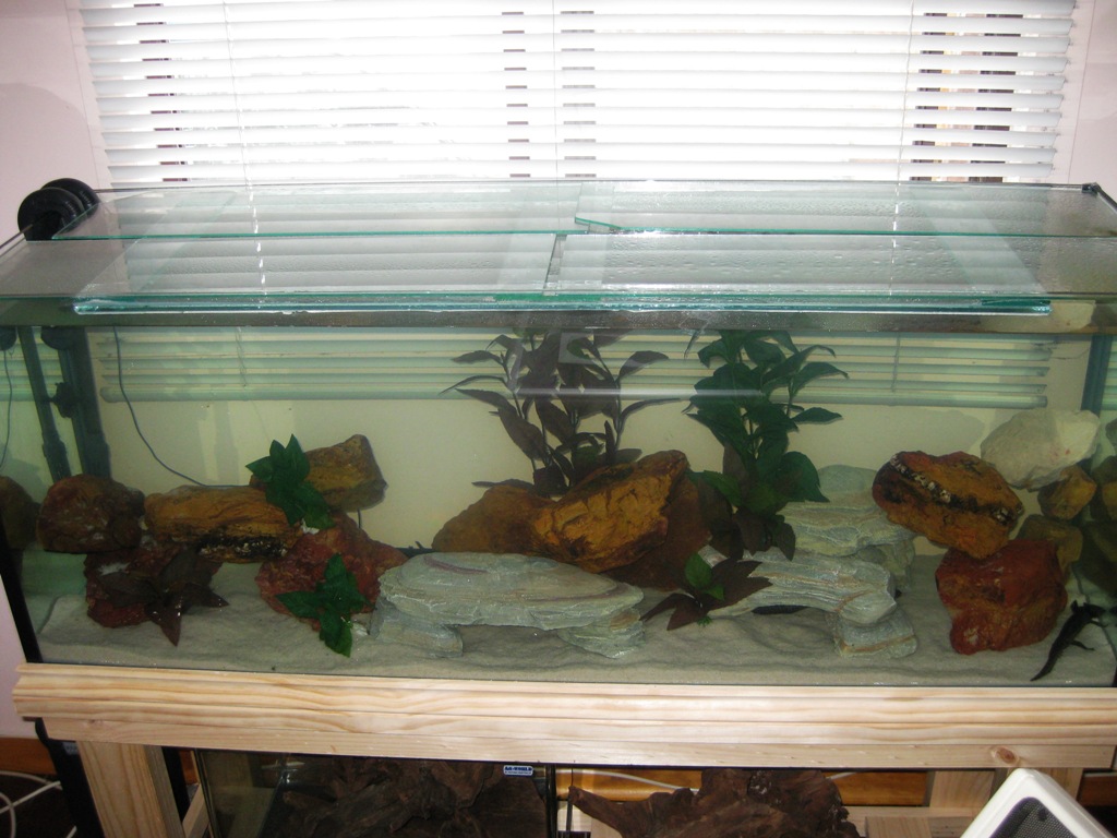 Eomer, Eowyn and Leia's Tank