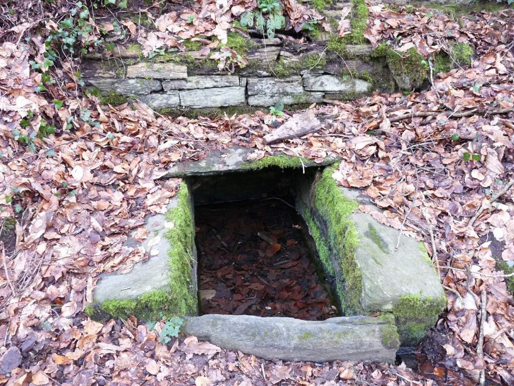 Fontaine Salamandres Locquenole