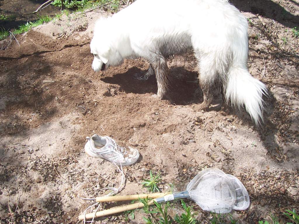 For about a second I thought maybe she was digging something up.