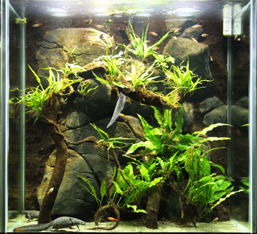 fully aquatic setup.