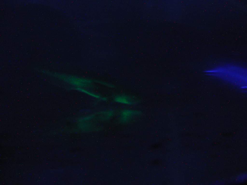 GFP melanoid