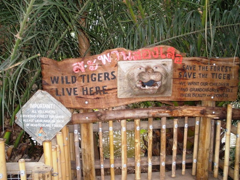 Good advice to be had here!  That small sign says "IMPORTANT!  All Villagers entering forest for wood please wear mask on back of head to scare tigers