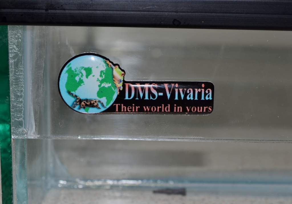 Good quality Terrariums! Highly recommend DMS Vivaria :)