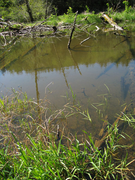 habitat site2