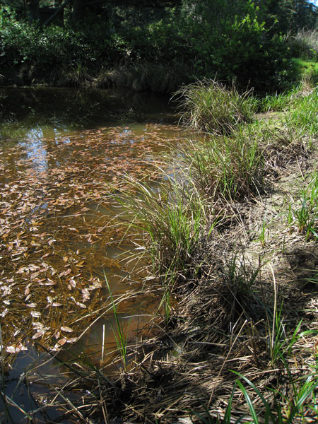 habitat site3