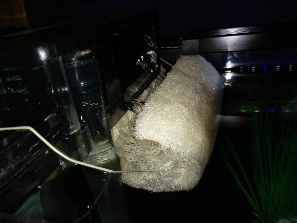 Here is the loofah in place