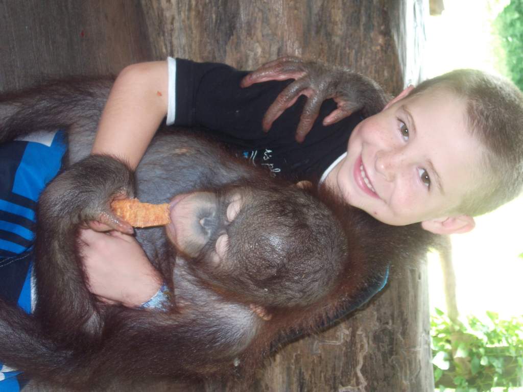 jordy holding a orangutan