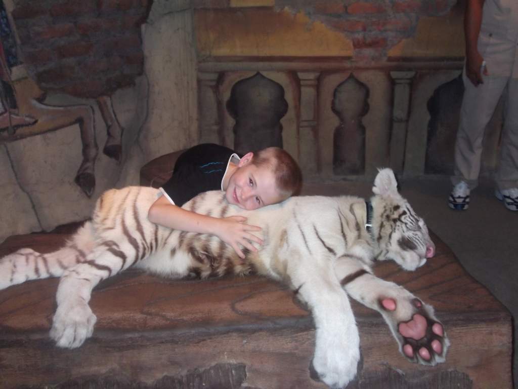 jordy with a white tiger cub