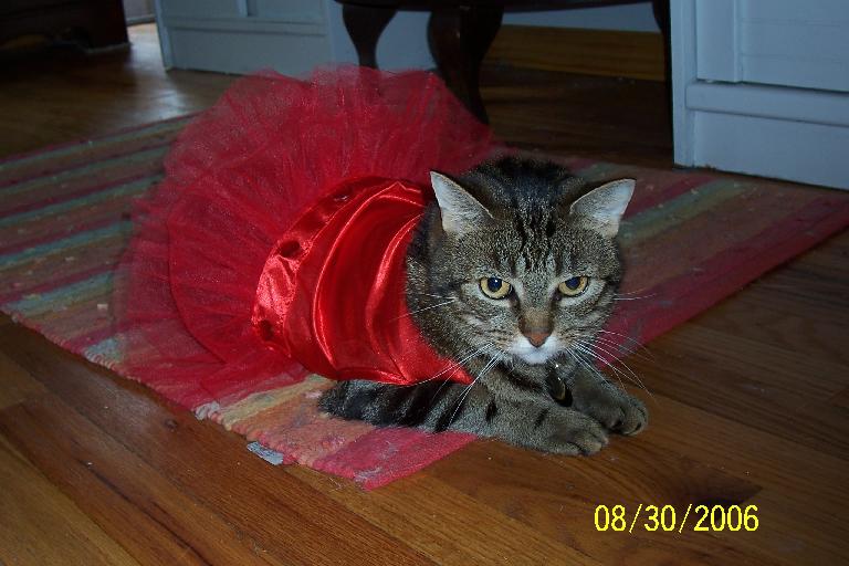 Lily as Ballerina