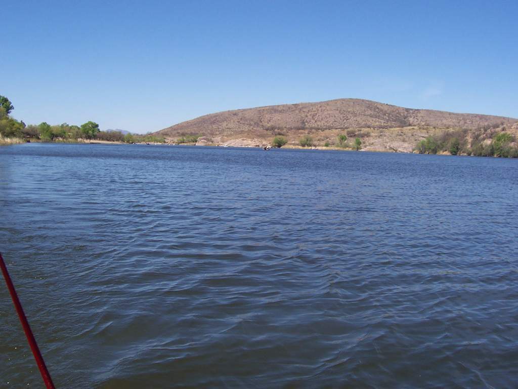 Looking back at a northen westerly bank/side of the lake.