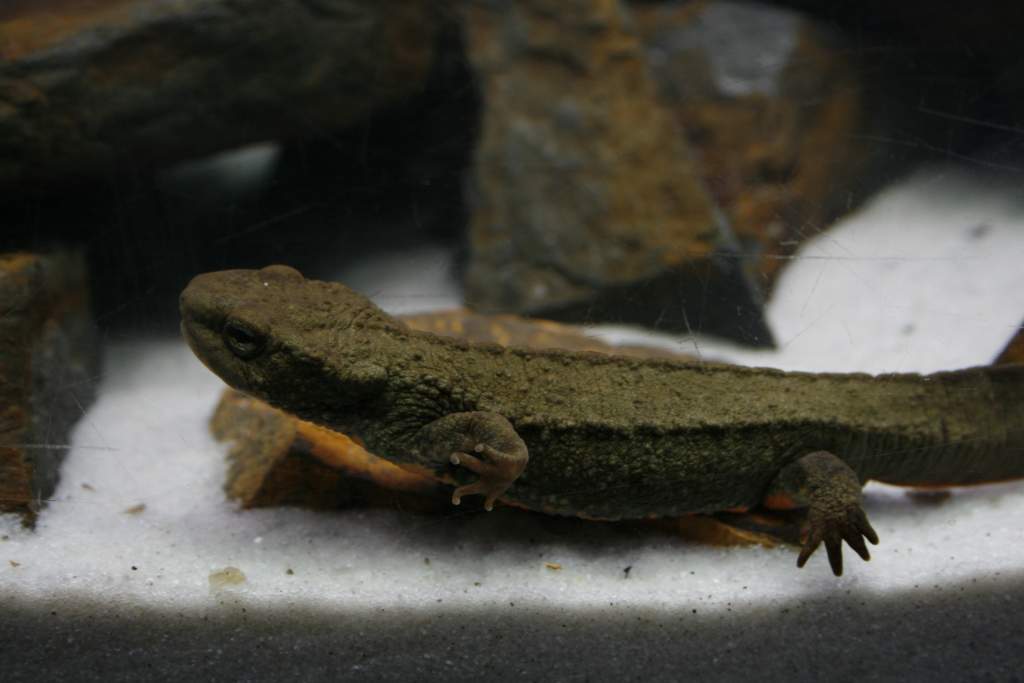 Male hanging around