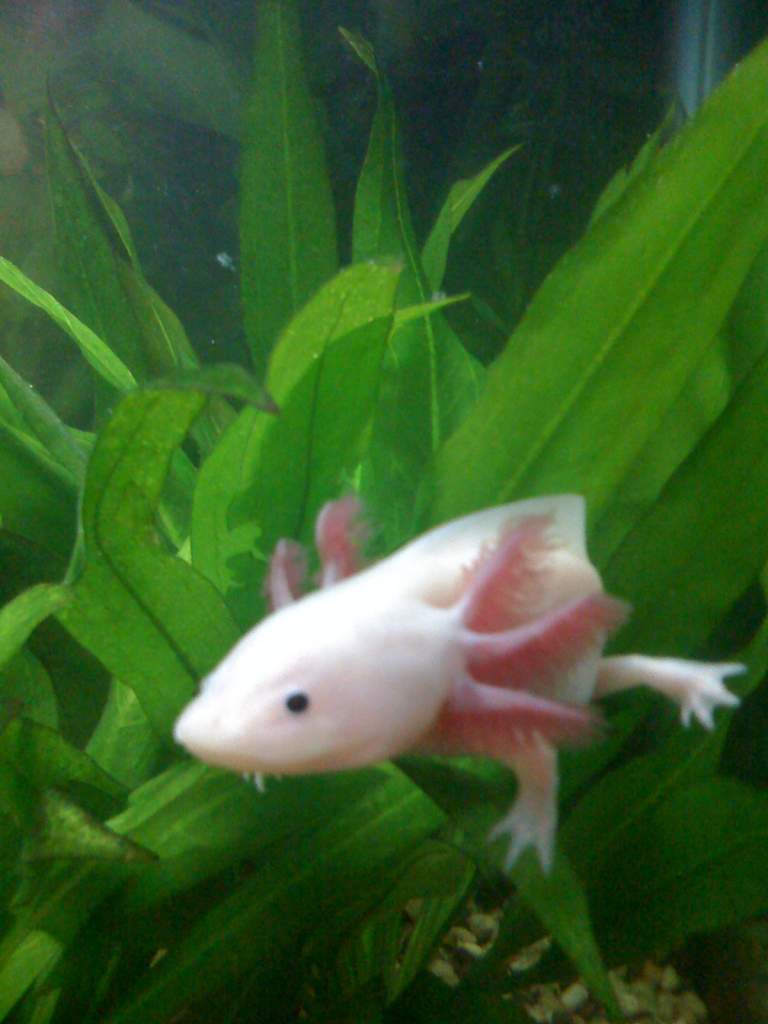 marilyn playing in the plants