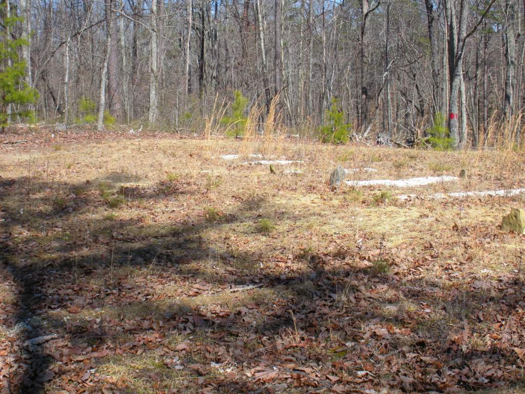 McLemore Cemetery, I'm told this is probably 2 rows of indian burials. There's a large Cherokee population in the area.