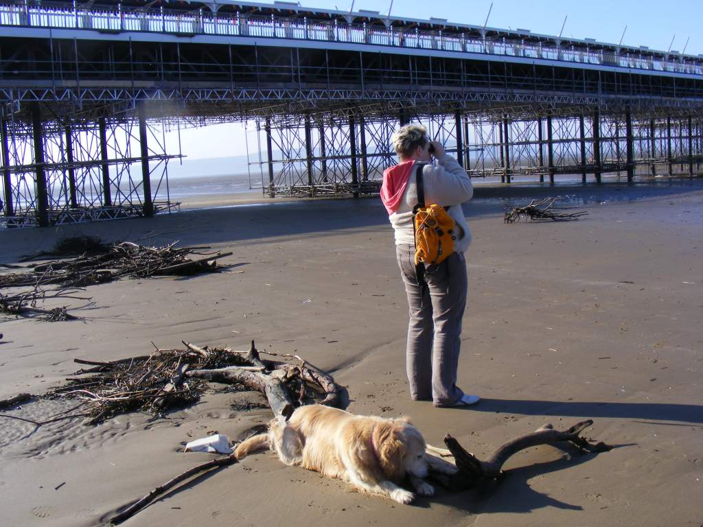 Me birdwatching (oystercatchers), Cassie's bored waiting! The best view you'll get of me!