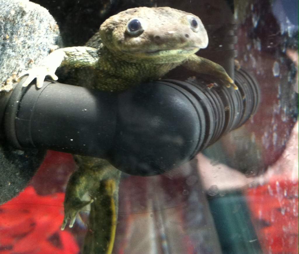 Mommy hanging on bubbler soaking up the sun lol