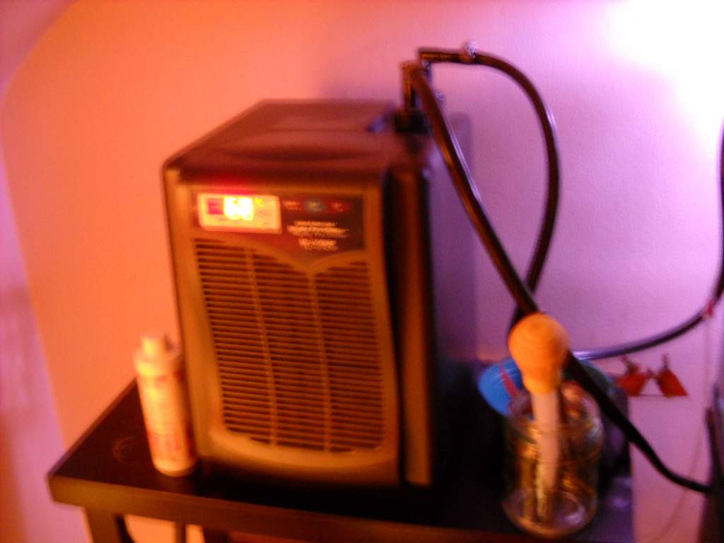 My chiller. It's set to 59 F year round, and turns on when there is a 2 degree increment.