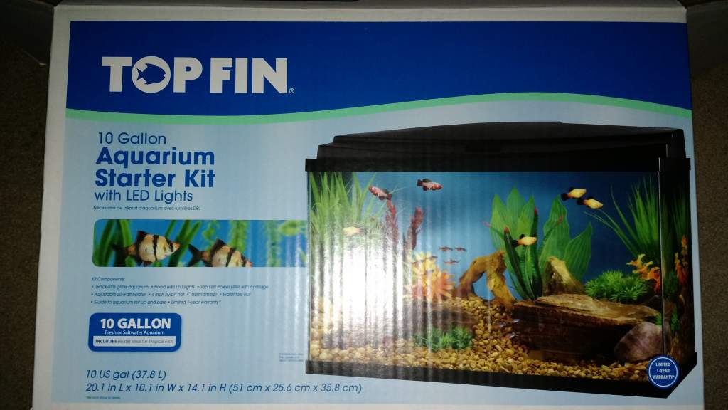 My new 10 gallon aquarium