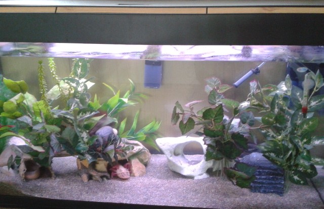 New 200 litre tank