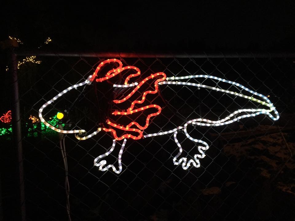 oregon zoo lights