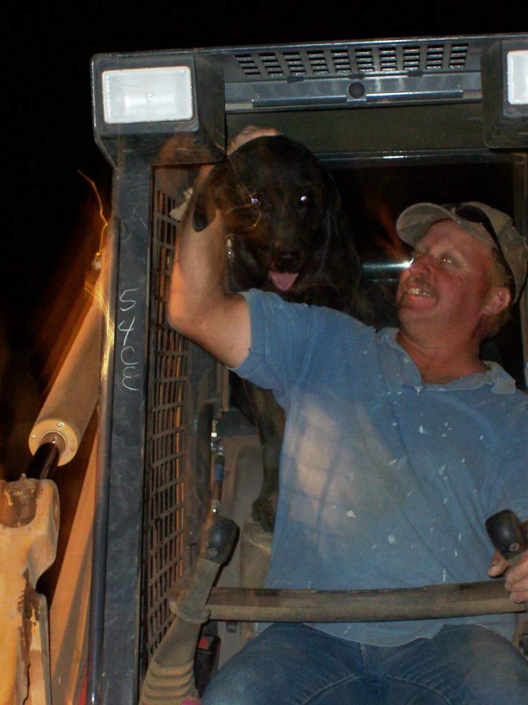 our black lab JR goin' for a ride w daddy