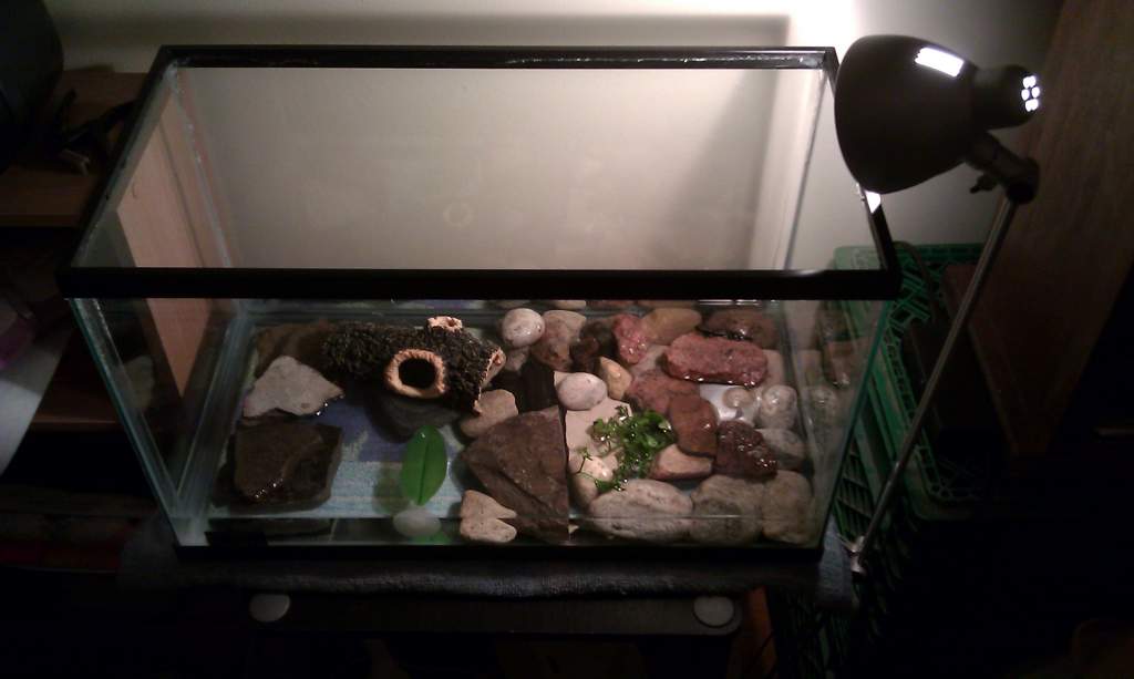 Over view of tank set up