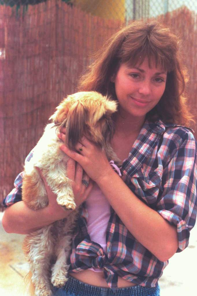 Pam and Ping (Shih Tzu) 1986