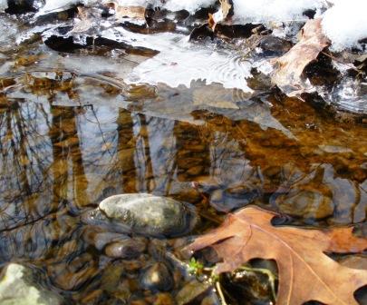 Panther's Den Wilderness