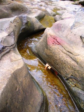 Piney Creek Ravine