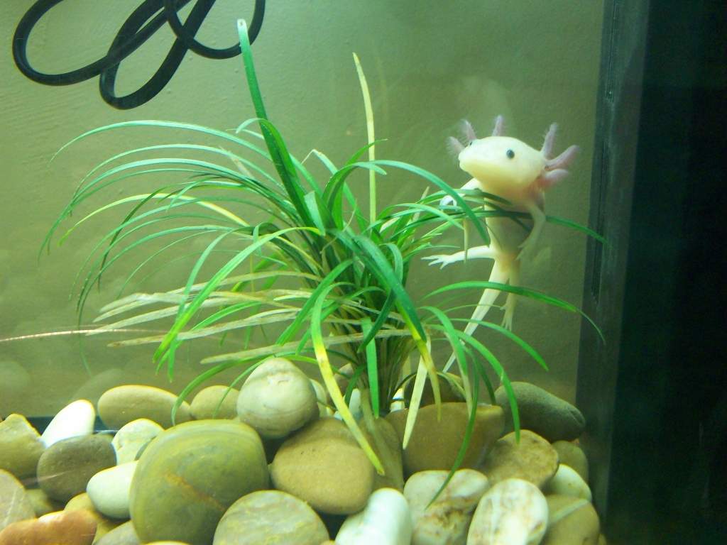 Playing in her plants