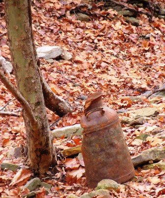 Prairie Farms milk container at Panther's Den Wilderness (this company is still in business, and still delivering milk in the Southern Illinois area)