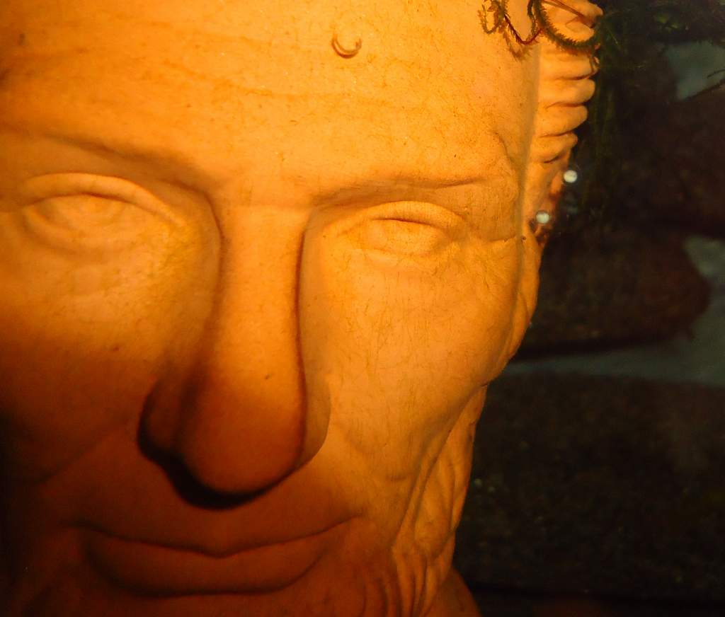 Prez Lincoln got 2 eggs on his sideburn