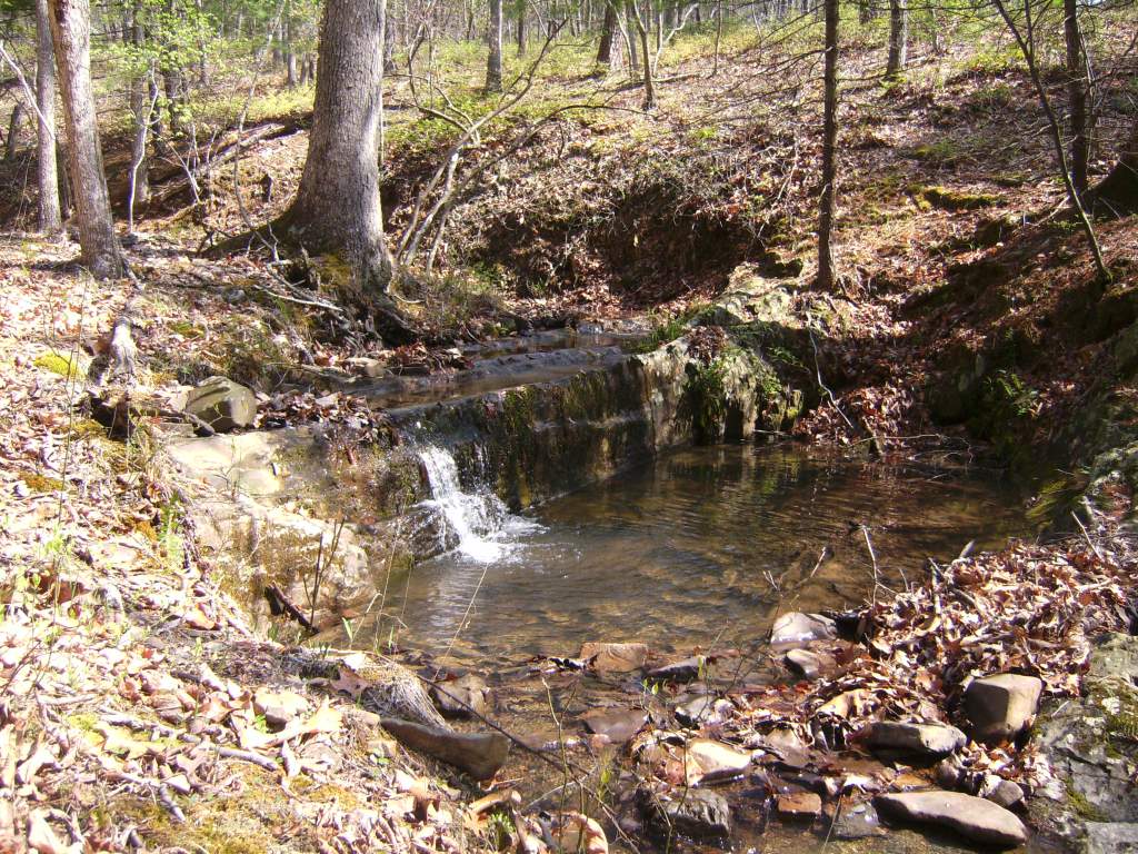 Psuedotriton ruber nitidus habitat.