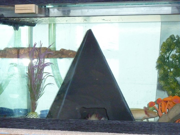 Pyramid and shelf