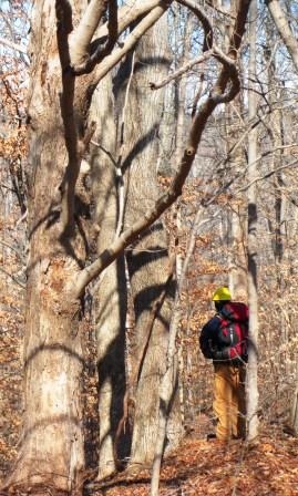 Ryan, contemplating descending the ravine or not