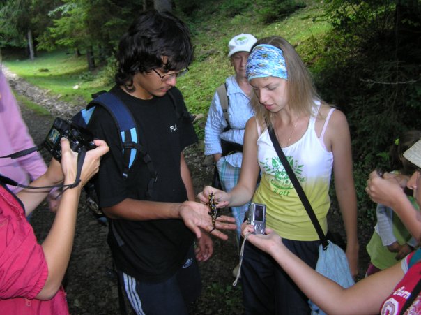 Salamandra.s.s on my hand