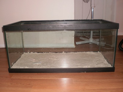 Sand in New Tank